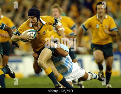 Der Australier Stephen Larkham versucht, das Tackle von Argentiniens Gonzalo Longo während des australischen Sieges 24-8 im Eröffnungsspiel der Rugby-Weltmeisterschaft 2003 im Telstra Stadium, Sydney, zu durchbrechen. KEINE NUTZUNG DES MOBILTELEFONS. WEBSITES DÜRFEN WÄHREND DES SPIELS NUR ALLE FÜNF MINUTEN EIN BILD VERWENDEN Stockfoto