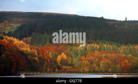 Die Bäume auf dem Ladybower Reservoir im Peak District halten an ihren Herbstfarben fest, während Wetterexperten in den kommenden Wochen einen kalten Wetterzauber in ganz Großbritannien vorhersagen. Stockfoto