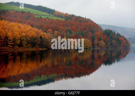 Herbstwetter am 13. Nov. Stockfoto