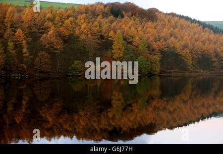 Die Bäume auf dem Ladybower Reservoir im Peak District halten an ihren Herbstfarben fest, während Wetterexperten in den kommenden Wochen einen kalten Wetterzauber in ganz Großbritannien vorhersagen. Stockfoto