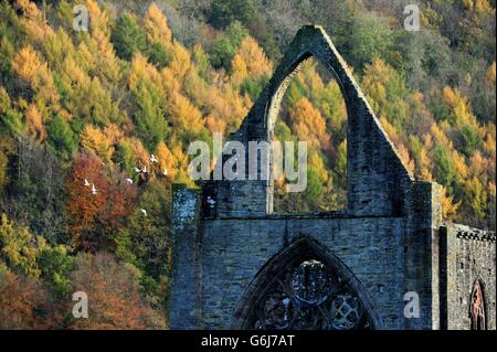 Herbstwetter am 13. Nov. Stockfoto