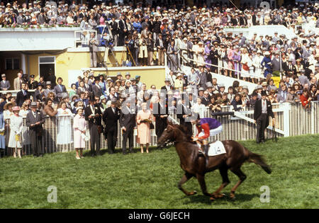 Pferderennen - Lester Piggott - The Derby - Epsom Downs. Die Queen und andere Mitglieder der königlichen Familie beobachten Lester Piggott beim Reiten ihres Pferdes „Milford“ im Derby. Stockfoto