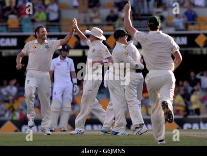 Der Australier Ryan Harris feiert das Wicket des Englands Chris Tremlett am vierten Tag des ersten Ashes-Tests in Gabba, Brisbane, Australien. Stockfoto