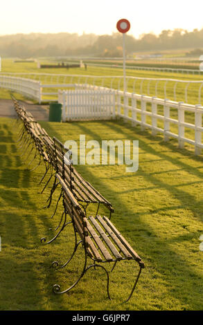 Pferderennen - Lingfield Park Stockfoto