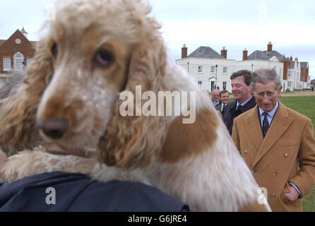 Der Prinz von Wales (rechts) trifft den 17 Monate alten Cocker Spaniel Pippa und die Besitzerin Pamela Pham in Poundbury, Dorset, während eines Besuchs in der Gegend. Der Prinz war in Poundbury, um das Hammick House zu eröffnen, das neue Hauptquartier von CancerCare Dorset, das einen Tageskinderraum, Unterstützungsgruppen und ein Informationszentrum für Krebspatienten umfasst. Sehen Sie sich PA Story an. Stockfoto