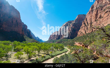 Virgin River fließt durch das Tal, die Zion Canyon, Zion Nationalpark, Utah, USA, Nordamerika Stockfoto