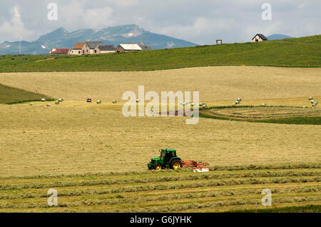 Bauer auf seinem Traktor, Heu, Cezallier, Auvergne, Frankreich, Europa Stockfoto