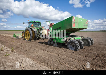 Landwirt pflanzt niederländischen Kartoffeln mit seinem grünen Traktor auf seinem Grundstück. Stockfoto