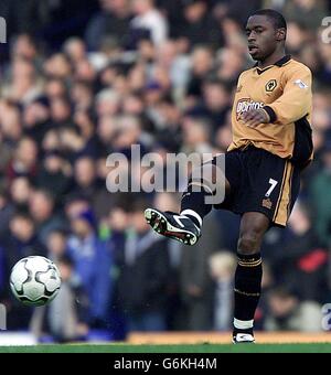 Wolfves' Shaun Newton im Einsatz gegen Everton, während ihres FA Barclaycard Premiership Spiels auf Evertons Goodison Park Ground in Liverpool. Stockfoto