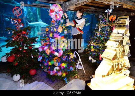 Weihnachtsbäume im Sea Life London Aquarium Stockfoto