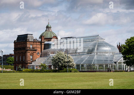 Wintergärten-Gewächshaus an Peoples Palace Museum in Glasgow Green öffentlicher Park in Glasgow, Schottland, Vereinigtes Königreich Stockfoto