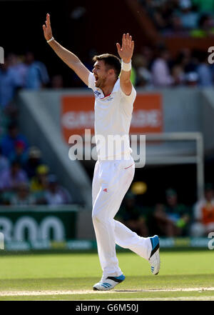 Der englische James Anderson appelliert beim zweiten Testspiel im Adelaide Oval, Adelaide, Australien. Stockfoto