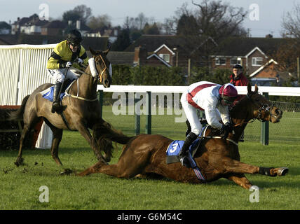 Asador entlässt Fahrer Christian Williams beim letzten Sieg zum Magical Day Riden von Tony McCoy in der Bonusfilm Selling Hurdle in Hereford. Stockfoto