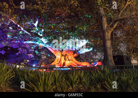 Sydney botanischen Gärten bei Vivid Sydney 2016 Stockfoto