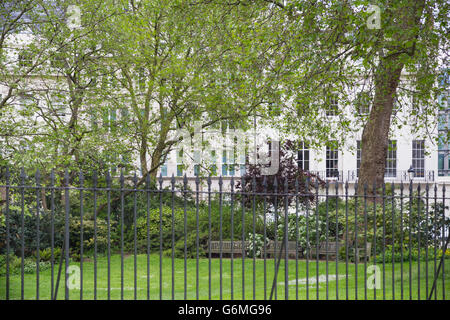 Fitzroy Square Garden in Westminster, London W1, an einem sonnigen Sommertag Stockfoto