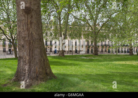 Fitzroy Square Garden in Westminster, London W1, an einem sonnigen Sommertag Stockfoto