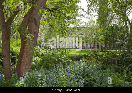 Fitzroy Square Garden in Westminster, London W1, an einem sonnigen Sommertag Stockfoto