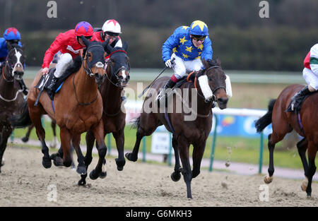 Pferderennen - Lingfield Park Rennbahn Stockfoto