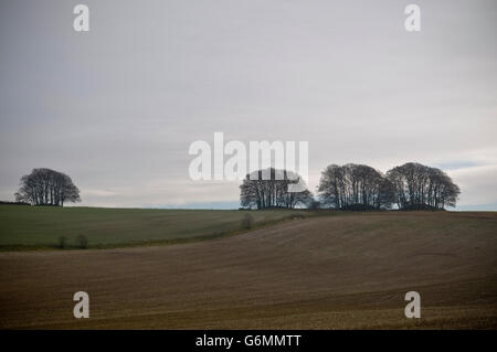 Bronzezeitalter Karren auf Overton Hill in der Nähe von Avebury, Wiltshire, UK Stockfoto