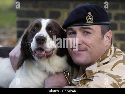 Der Hund der britischen Armee Buster mit seinem Handler Sgt Danny Morgan nach Erhalt der PDSA Dickin Medal, dem Tieräquivalent des Victoria Cross im Londoner Imperial Museum. Buster, ein sechsjähriger Springer-Spaniel, brach eine Widerstandszelle in Safwan im Südirak, als er einen versteckten Cache mit Waffen und Sprengstoffen entdeckte. Er gilt als verantwortlich für die Rettung des Lebens unzähliger Zivilisten und Truppen. Stockfoto