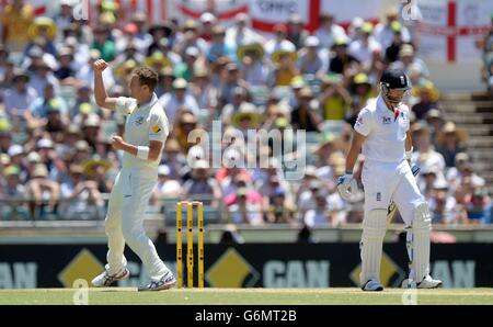 Australiens Peter Siddle (links) feiert, wie Englands Matt Prior (rechts) bei 8 Läufen am dritten Tag des dritten Tests auf dem WACA Ground, Perth, Australien, zurückliegt. Stockfoto