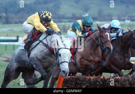 ROOSTER BOOSTER IN CHELTENHAM Stockfoto