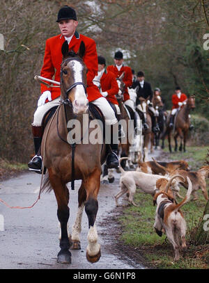 Hunde und Reiter treffen sich in Penshurst, Kent, zur Jagd nach Old Surrey Burstow West Kent. Nur 2 % der Menschen glauben, dass die Jagd auf Füchse eine Priorität der Regierung sein sollte, so eine heute veröffentlichte NOP-Umfrage, die von der Jagdgruppe Countryside Alliance in Auftrag gegeben wurde. Stockfoto