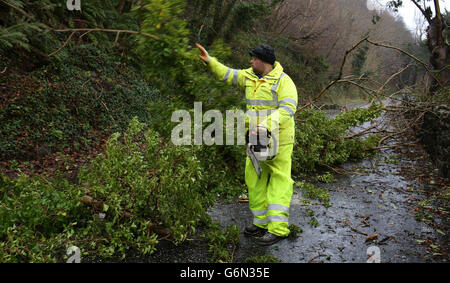 Gefallene Bäume werden in Nord-Antrim geräumt, da Stromunternehmen verurteilt wurden, weil sie es versäumt hatten, die Versorgung Tausender Haushalte wiederherzustellen, da Großbritannien während der Weihnachtsfeiertage einen zweiten großen Sturm erlitt. Stockfoto