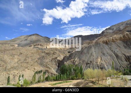 Moonland Typ Landschaft, Gästehaus, Ladakh, Indien Stockfoto