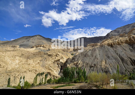 Moonland Typ Landschaft, Gästehaus, Ladakh, Indien Stockfoto