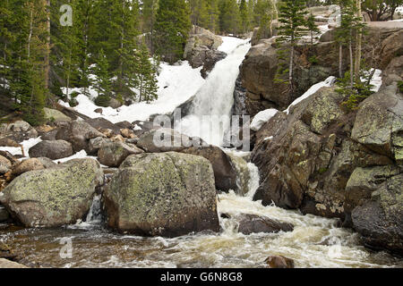 Wasserfall in den Rocky Mountains in Colorado im Frühling Stockfoto