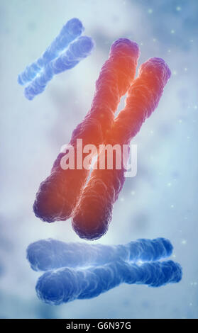 Chromosom 3D-Modell - Genetik-Abbildung Stockfoto