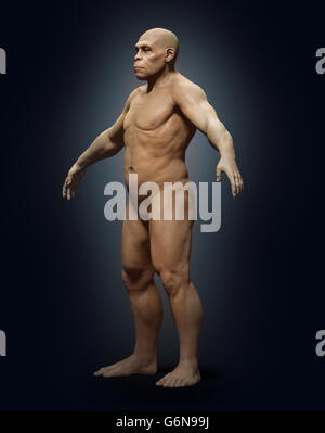 Ein 3D Rendering eines Vorfahren des Homo Sapiens - Homo erectus Stockfoto