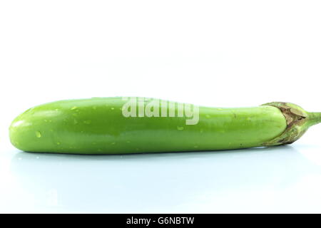 ein grün-Aubergine isoliert auf weißem Hintergrund Stockfoto