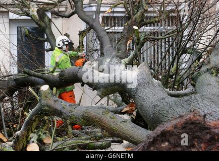 Winterwetter 30. Dez. Stockfoto