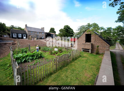 Ein drei Jahre alter Junge auf die Familie Gemüsebeet an einem Welsh Mountain home UK Stockfoto