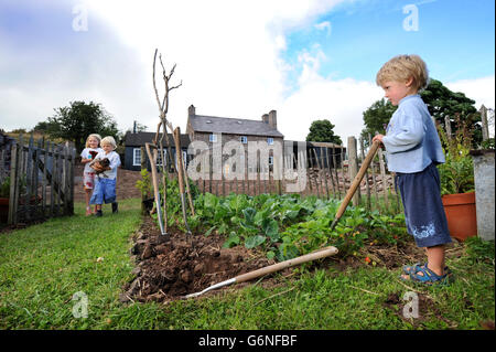 Ein drei Jahre alter Junge gräbt der Familie Gemüsebeet an einem Welsh Mountain home UK Stockfoto