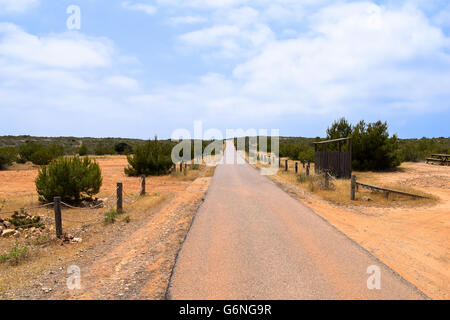 Die Straße, Blick nach Norden vom Leuchtturm am Cap de Barbaria, Formentera Stockfoto