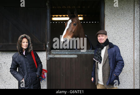 Pferderennen - 2013 William Hill Winter Festival - Tag 1 - Kempton Park Racecourse. Kauto Star der fünfmalige Sieger des Königs George VI Kirchturm Chase trifft und begrüßt die Gewinner des Kempton Park Stockfoto