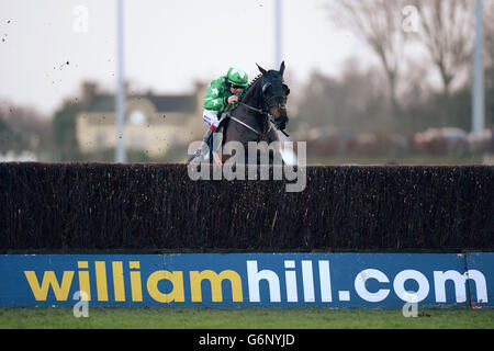 Horse Racing - 2013 William Hill Winter Festival - Tag 2 - Kempton Park Rennbahn Stockfoto