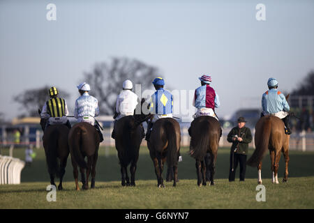 Horse Racing - 2013 William Hill Yorkshire Winter Festival - Tag eins - Wetherby Rennbahn Stockfoto