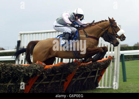 Prädestiniert von Jack McNamara springt die letzte, um die Hürde der Severn Valley Mobile Catering „National Hunt“ Juvenile Novices von Murat zu gewinnen, die von Tony McCoy (hinten) in Hereford gefahren wird. Stockfoto