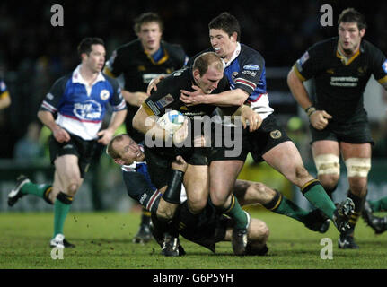 RUGBYU Wespen V Celtic Stockfoto