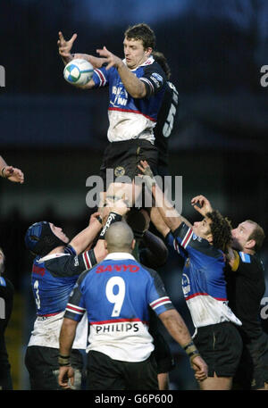 RUGBYU Wespen V Celtic Stockfoto