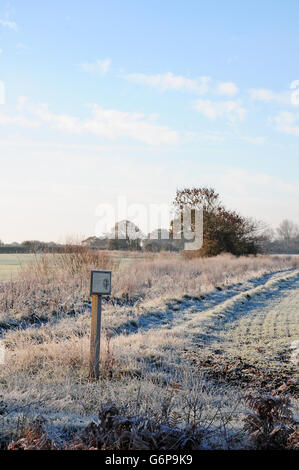 Feldrand beiseite für die Tierwelt.  Frostiger Morgen. Stockfoto