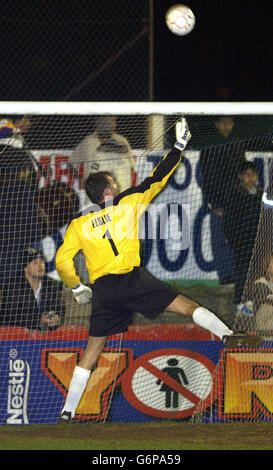 Der ehemalige TV-Moderator John Leslie ist Startorwart während des Fash FC Celebrity Big Match Live 2004 auf dem Hendon Football Ground in Noth London. Bei dem Fußballspiel tritt das Team des ehemaligen Fußballers John Fashanu gegen ein Team von Prominenten an, das Barnados und Cancer Research UK unterstützt. Stockfoto