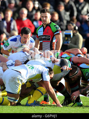 Harlekine Danny Care in Aktion während des Heineken Cup, Pool Four Match in Twickenham Stoop, London. DRÜCKEN SIE VERBANDSFOTO. Bilddatum: Samstag, 11. Januar 2013. Siehe PA Story RUGBYU Harlequins. Das Foto sollte lauten: Gareth Fuller/PA Wire. Stockfoto