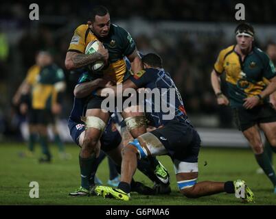 Northampton Saints' Samu Manoa läuft während des Heineken Cups bei Castres' Mihaita Lazar (links) und Mathieu Babillot - Pool One Match in Franklin Gardens, Northampton. Stockfoto