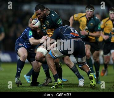 Rugby-Union - Heineken Cup - ein Pool - Northampton Saints V Castres - Franklin Gardens Stockfoto