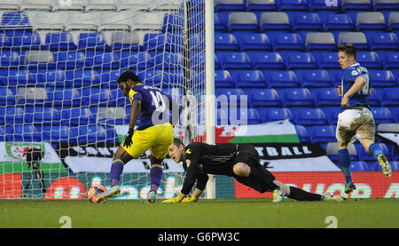 Der Wilfried Bony von Swansea City schießt beim Spiel der vierten Runde des FA Cup in St. Andrews, Birmingham, gegen Colin Doyle, Torhüter von Birmingham City, das zweite Tor des Spiels. Stockfoto